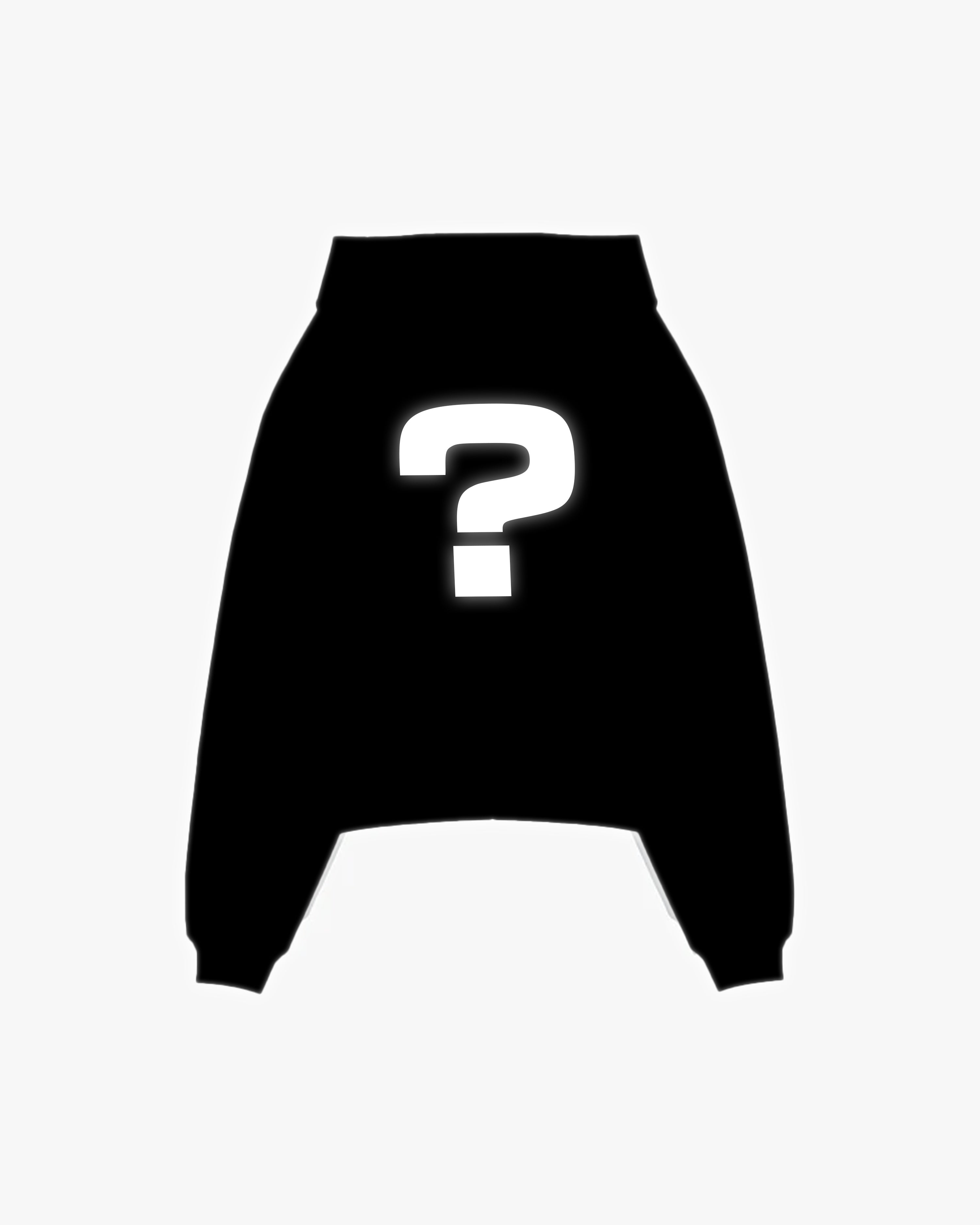 MYSTERY HOODIE